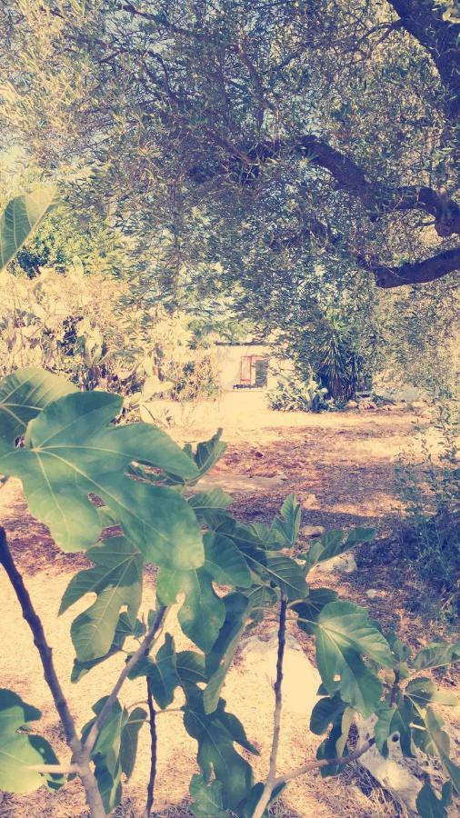 Trullo Riccardo Villa Ostuni Exterior photo